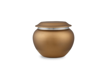DBU 1010 P Metaal dierenurn petite