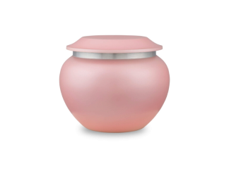 DBU 1013 S Metaal dierenurn small