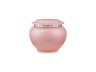 DBU 1013 P Metaal dierenurn petite