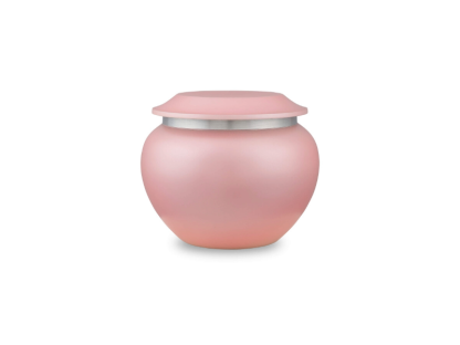 DBU 1013 P Metaal dierenurn petite