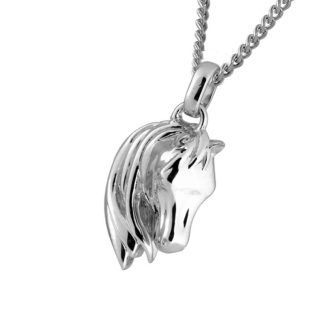 DHB21  Dieren assieraad hanger