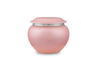DBU 1013 XS Metaal dierenurn extra small