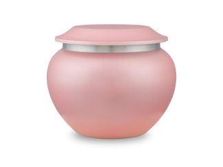 DBU 1013 M Metaal dierenurn medium