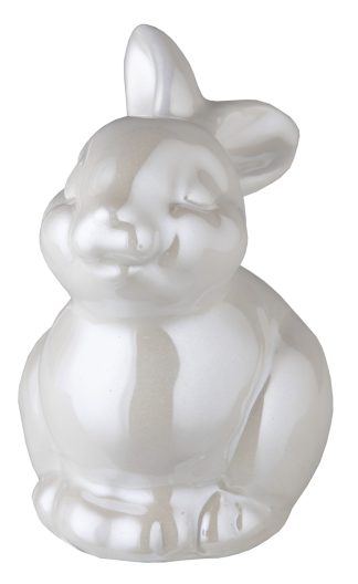 DBU 00572 Porseleinen dierenurn