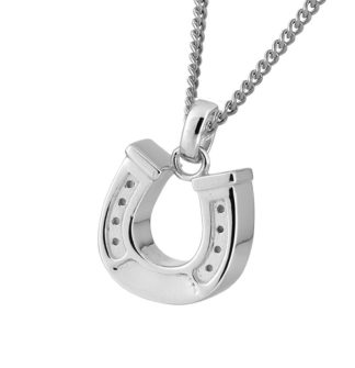 DHB17  Dieren assieraad hanger