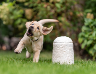 BU 051 M Biologische urn Loop FurEver™ 1,5L - Calm